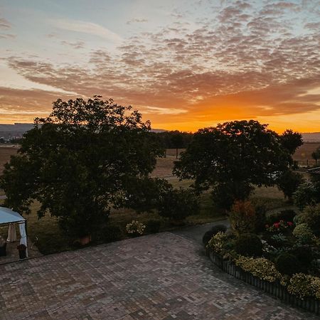 Weingut U. Gaestehaus Vogt-Fehlinger Biebelsheim Ngoại thất bức ảnh