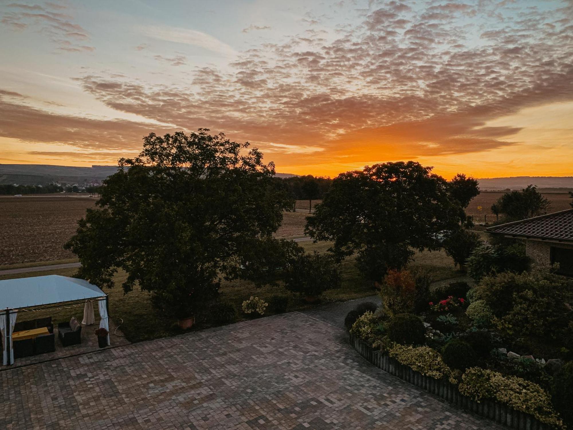 Weingut U. Gaestehaus Vogt-Fehlinger Biebelsheim Ngoại thất bức ảnh